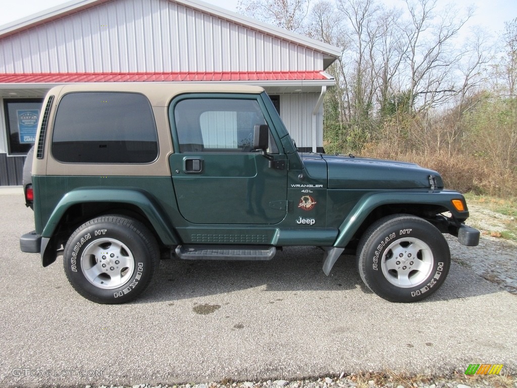 2000 Wrangler Sahara 4x4 - Forest Green Pearl / Camel/Dark Green photo #4