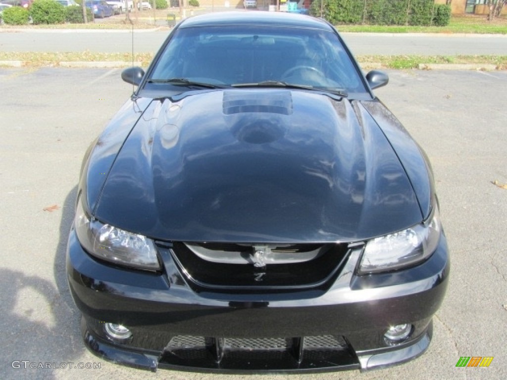 1999 Mustang SVT Cobra Coupe - Black / Dark Charcoal photo #5