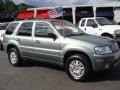 Light Tundra Metallic - Mariner Luxury 4WD Photo No. 3