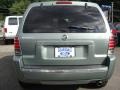 Light Tundra Metallic - Mariner Luxury 4WD Photo No. 5