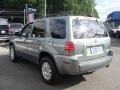 Light Tundra Metallic - Mariner Luxury 4WD Photo No. 6