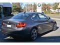 2017 Mineral Grey Metallic BMW 2 Series 230i xDrive Coupe  photo #3