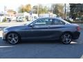 2017 Mineral Grey Metallic BMW 2 Series 230i xDrive Coupe  photo #5