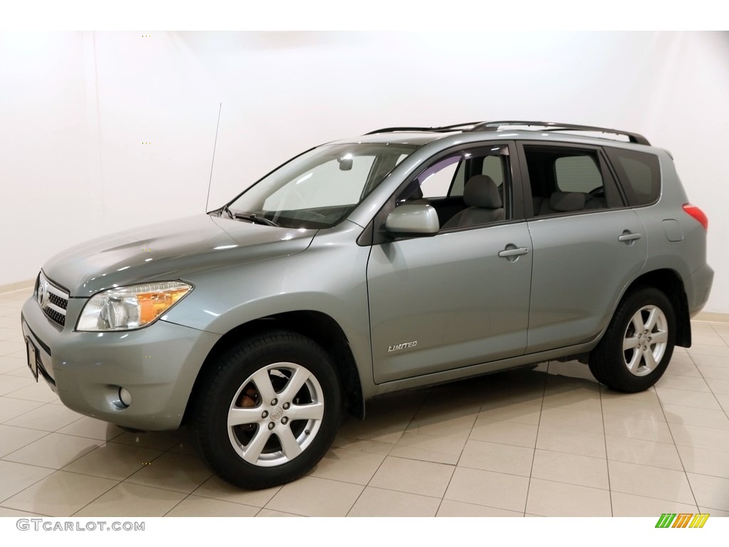 2008 RAV4 Limited 4WD - Everglade Metallic / Ash photo #3