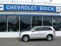 Quicksilver Metallic 2008 Suzuki Grand Vitara Luxury