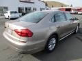 Titanium Beige - Passat S Sedan Photo No. 7