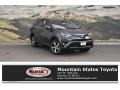 2018 Magnetic Gray Metallic Toyota RAV4 XLE AWD  photo #1