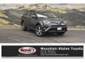 2018 Magnetic Gray Metallic Toyota RAV4 XLE AWD  photo #1