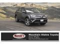 Magnetic Gray Metallic - RAV4 XLE AWD Photo No. 1