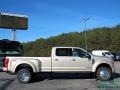 White Gold - F450 Super Duty Platinum Crew Cab 4x4 Photo No. 6