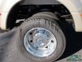 White Gold - F450 Super Duty Platinum Crew Cab 4x4 Photo No. 9