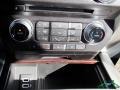 White Gold - F450 Super Duty Platinum Crew Cab 4x4 Photo No. 25