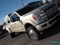 White Gold - F450 Super Duty Platinum Crew Cab 4x4 Photo No. 36