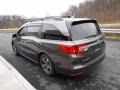 Modern Steel Metallic - Odyssey Touring Photo No. 8