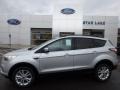 Ingot Silver - Escape SE 4WD Photo No. 1
