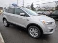 Ingot Silver - Escape SE 4WD Photo No. 3