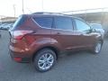 2018 Cinnamon Glaze Ford Escape SE 4WD  photo #2