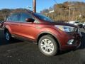 2018 Cinnamon Glaze Ford Escape SE 4WD  photo #9