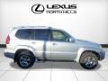 Titanium Silver Metallic - GX 470 Photo No. 2