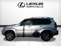 Titanium Silver Metallic - GX 470 Photo No. 3