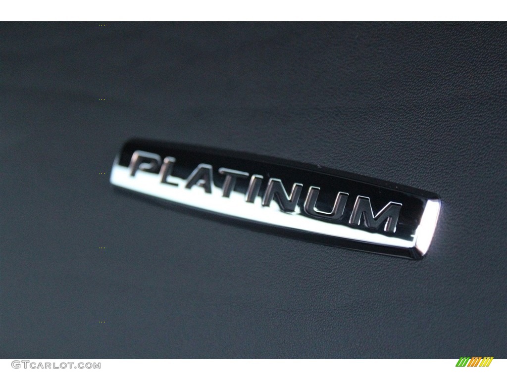 2018 F150 Platinum SuperCrew 4x4 - Magnetic / Black photo #14