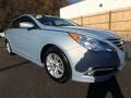 Iridescent Silver Blue Pearl - Sonata GLS Photo No. 5