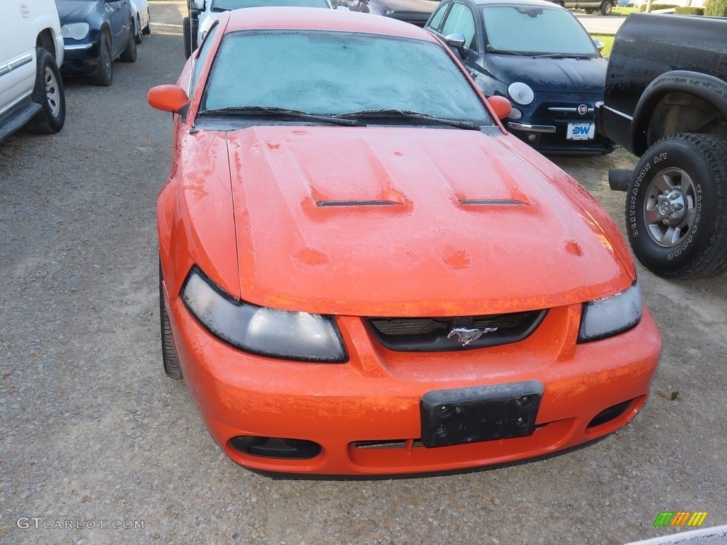2004 Mustang Cobra Coupe - Competition Orange / Dark Charcoal photo #2