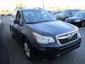Dark Gray Metallic - Forester 2.5i Photo No. 8