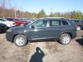 Rhino - Cherokee Latitude Plus 4x4 Photo No. 2