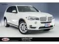 Alpine White - X5 sDrive35i Photo No. 1