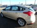 White Gold - Focus SE Hatch Photo No. 5