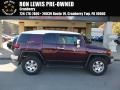 Titanium Metallic - FJ Cruiser 4WD Photo No. 1