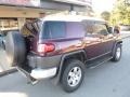 Titanium Metallic - FJ Cruiser 4WD Photo No. 2