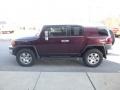 Titanium Metallic - FJ Cruiser 4WD Photo No. 6