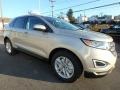 White Gold - Edge SEL AWD Photo No. 3