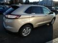 White Gold - Edge SEL AWD Photo No. 5