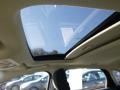 Magnetic - Focus SEL Sedan Photo No. 13