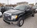 2014 Green Gem Ford F150 XLT SuperCrew 4x4  photo #3