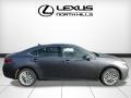Nebula Gray Pearl - ES 350 Photo No. 2