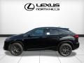 Caviar - RX 350 AWD Photo No. 3