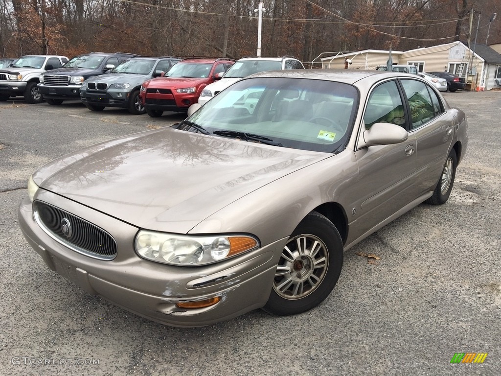 2004 LeSabre Custom - Light Bronzemist Metallic / Light Cashmere photo #1
