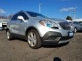 Quicksilver Metallic - Encore  Photo No. 1