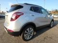 Quicksilver Metallic - Encore Preferred Photo No. 5
