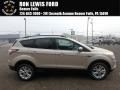 2018 White Gold Ford Escape SE 4WD  photo #1