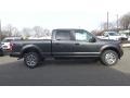 2018 Magnetic Ford F150 STX SuperCrew 4x4  photo #8