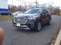 Becketts Black 2018 Hyundai Santa Fe Gallery