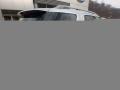 2015 Ingot Silver Ford Explorer XLT 4WD  photo #2