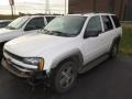 Summit White - TrailBlazer LS 4x4 Photo No. 3