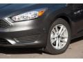 Magnetic - Focus SE Sedan Photo No. 2