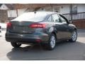 Magnetic - Focus SE Sedan Photo No. 3